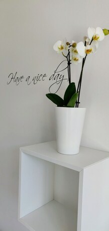 Imagen general del G&auml;stehaus Abtei Sayn. Foto 7