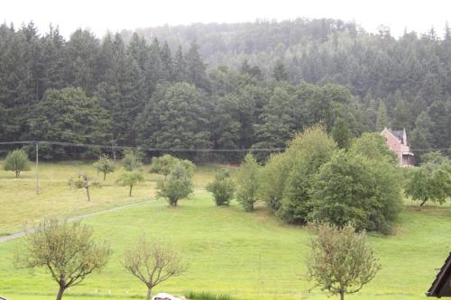 Imagen general del G&auml;stehaus Alexanna. Foto 3