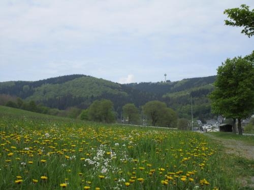 Imagen de la habitación del G&auml;stehaus Behle-sch&auml;perken. Foto 6