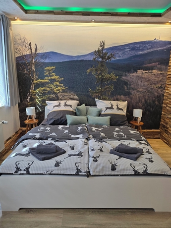 Imagen de la habitación del G&auml;stehaus Bodewurm. Foto 4