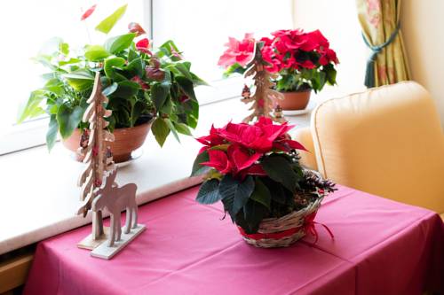 Imagen de la habitación del G&auml;stehaus Edelweiss. Foto 5