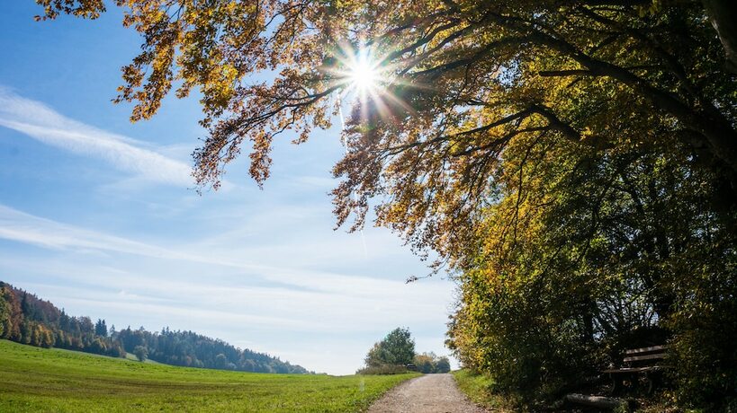 Imagen general del Gästehaus Juhl. Foto 9