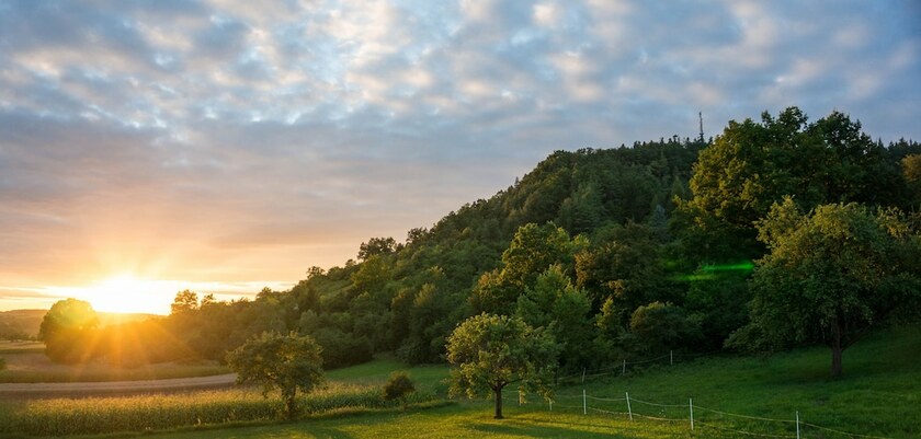 Imagen general del Gästehaus Juhl. Foto 17