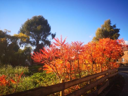 Imagen general del G&auml;stehaus Maria Rast. Foto 2