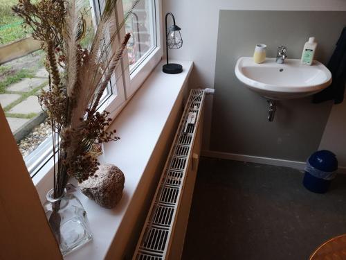 Imagen de la habitación del G&auml;stehaus Maria Rast. Foto 18