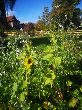 Imagen general del G&auml;stehaus Maria Rast. Foto 6