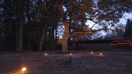 Imagen general del G&auml;stehaus Maria Rast. Foto 7