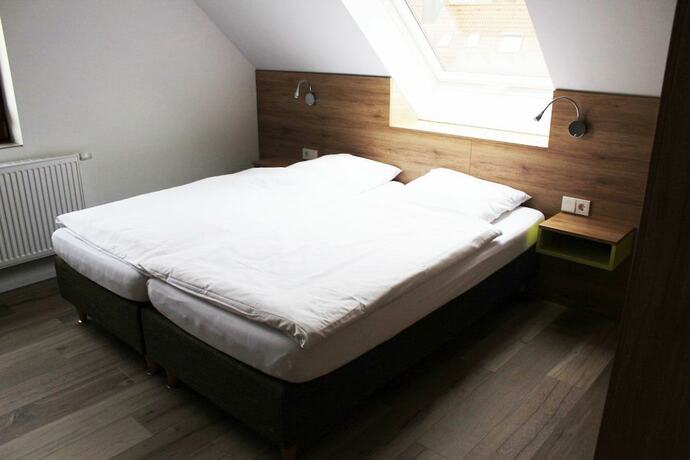 Imagen de la habitación del G&auml;stehaus Ruh, Freiburg im Breisgau. Foto 17