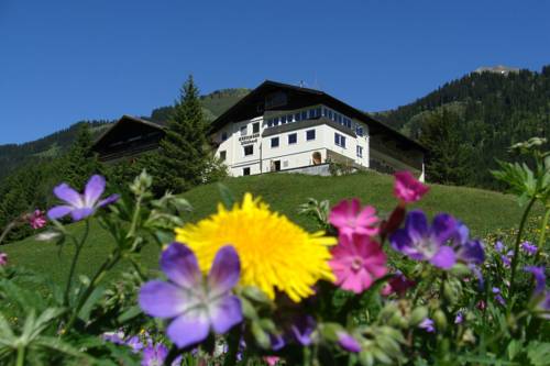 Imagen general del Gästehaus Wildbach. Foto 1