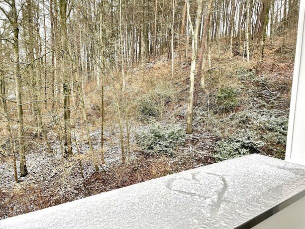 Imagen general del G&auml;stehaus am Bornweg. Foto 10