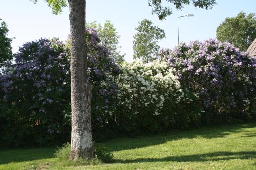 Imagen de la habitación del G&auml;sthem Kronan. Foto 7