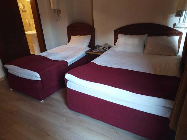 Imagen de la habitación del Gaziantep Kurtulus Konagi. Foto 13