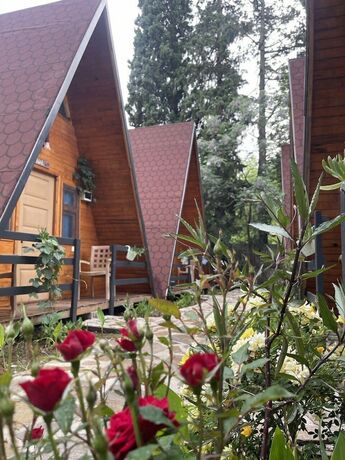 Imagen de la habitación del Gemicihan Bungalov and Pansiyon. Foto 16