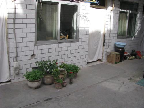 Imagen general del Genshen Business Hotel. Foto 5