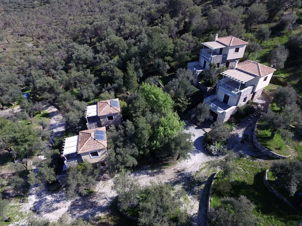 Imagen general del Gera\'s Olive Grove. Foto 1