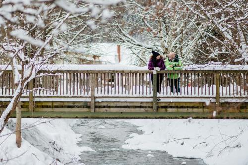 Imagen general del Gesundheits- & Wellness Resort Oberzeiring. Foto 14