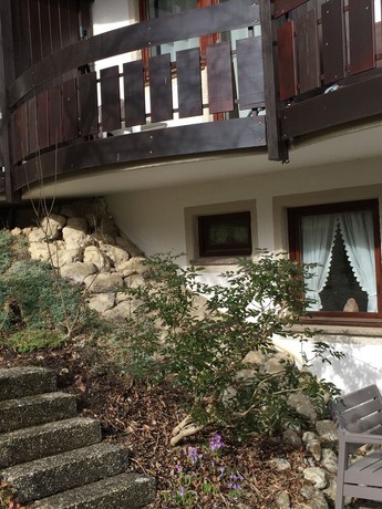 Imagen de la habitación del Gesundheitshotel Witzigmann. Foto 5