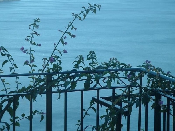 Imagen de la piscina del Giardino Dei Limoni. Foto 18