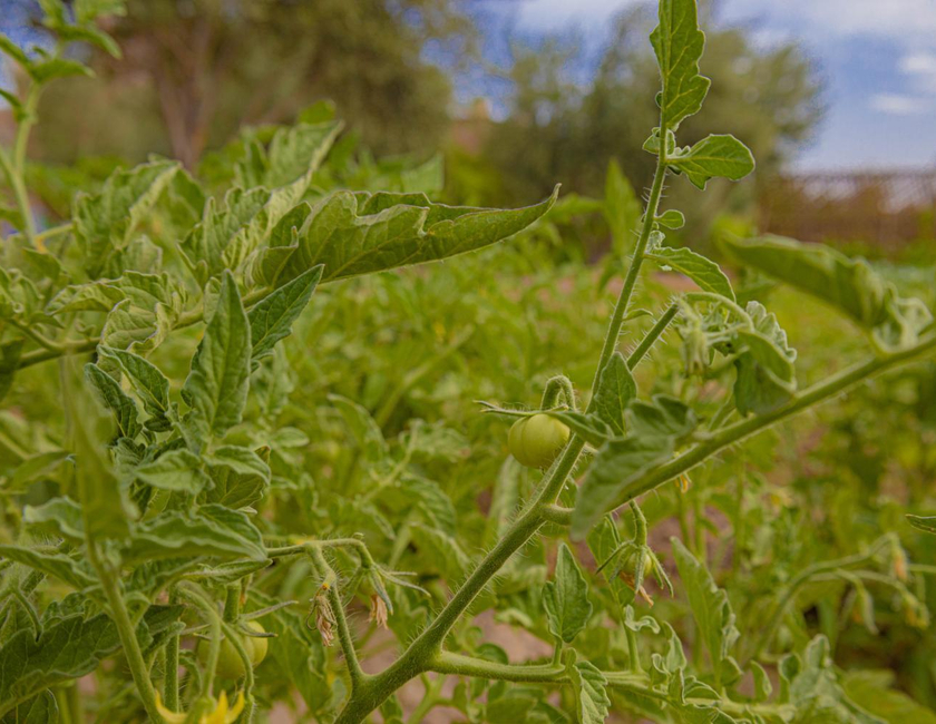 Imagen general del Gite Amridil Chez La Famille Naciri. Foto 17