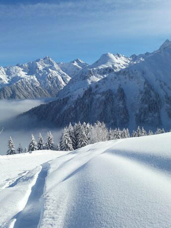 Imagen general del Gite de la Martinette. Foto 2
