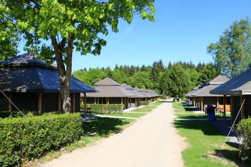 Imagen de la habitación del Glamping - Adventure Valley Durbuy. Foto 5