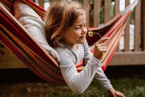 Imagen general del Glamping Lauwersmeer. Foto 8