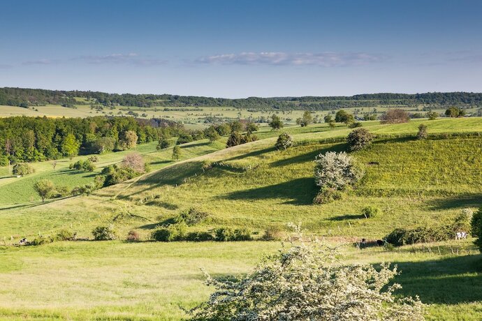 Imagen general del Glamping Resort Biosphäre Bliesgau. Foto 16
