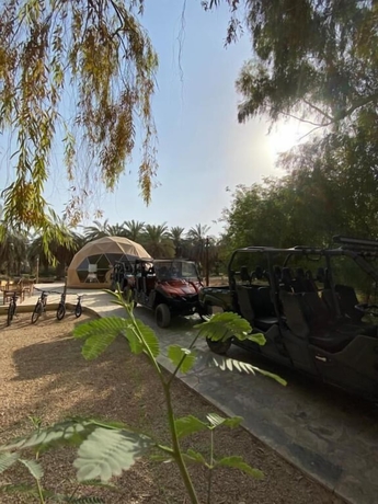 Imagen de los interiores del Glamping Resort. Foto 17