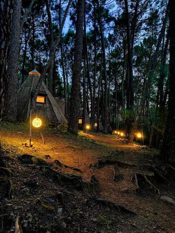 Imagen de los exteriores del Glamping The Teepee. Foto 13