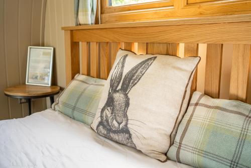 Imagen general del Glamping at South Lytchett Manor. Foto 2