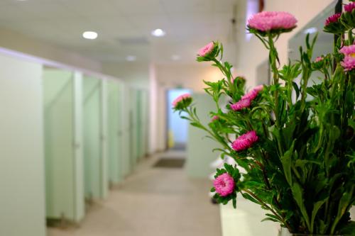 Imagen de la habitación del Glamping at South Lytchett Manor. Foto 19