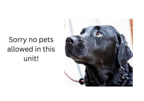 Imagen de la habitación del Glamping at South Lytchett Manor. Foto 20