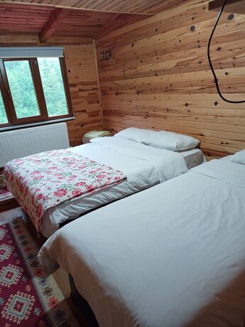 Imagen general del Gogalay Bungalov Hotel - Restoran. Foto 9