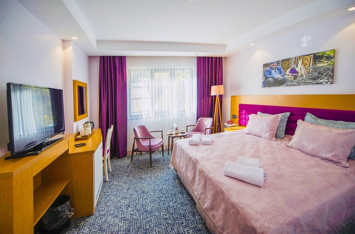 Imagen de la habitación del Golden Inn Hotel Uzungol. Foto 12