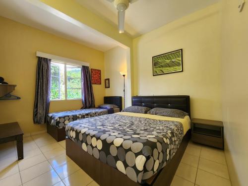 Imagen de la habitación del Golden Lodge. Foto 14