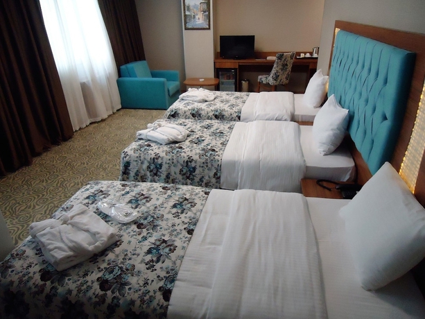 Imagen de la habitación del Golden Lounge. Foto 13