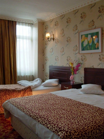 Imagen general del Golden Palace Hotel, Estambul. Foto 12