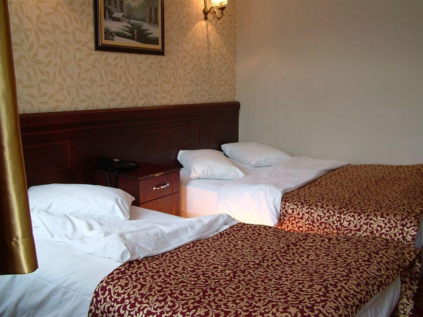 Imagen general del Golden Palace Hotel, Estambul. Foto 13