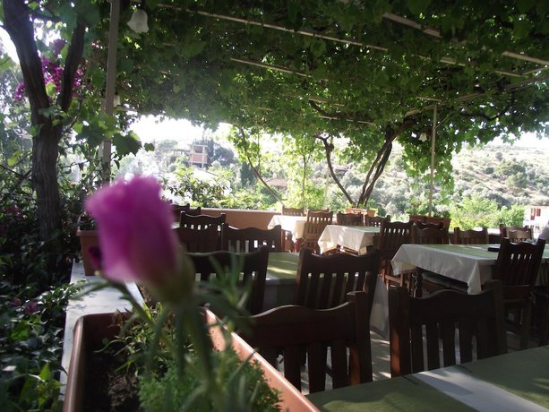 Imagen del bar/restaurante del Golden Pension. Foto 6