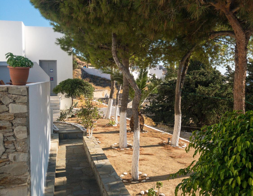 Imagen general del Golden Sun, Gialos. Foto 18