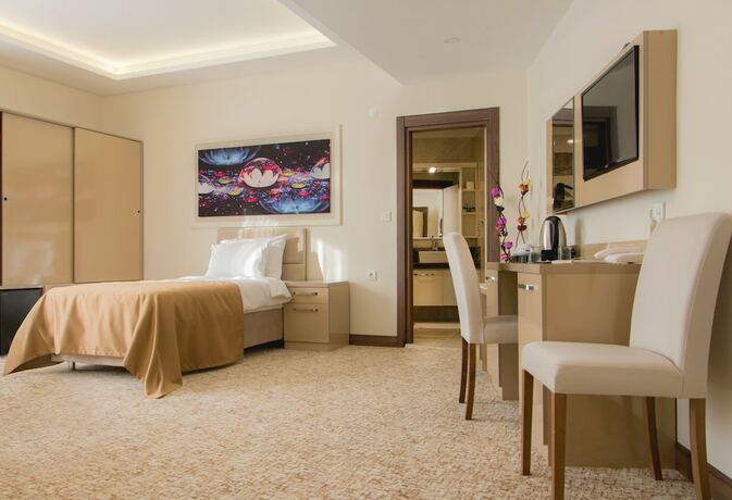 Imagen general del Goldhan Hotel. Foto 8