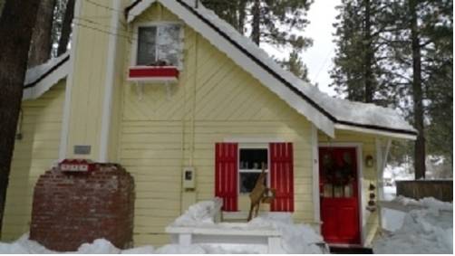 Imagen de la habitación del Goldmine Lodge & Black Bear Cottages. Foto 14