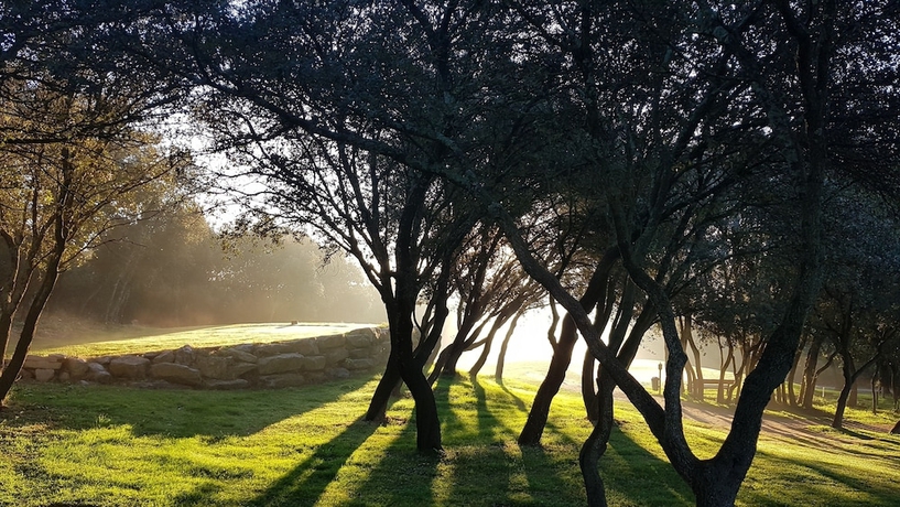 Imagen de los exteriores del Golf and R&eacute;sidence de N&icirc;mes Vacquerolles. Foto 17