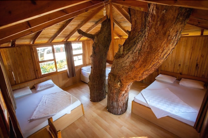Imagen de la habitación del Gorge Club Saklikent - Campsite. Foto 8