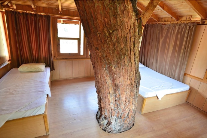 Imagen de la habitación del Gorge Club Saklikent - Campsite. Foto 15