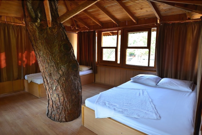 Imagen de la habitación del Gorge Club Saklikent - Campsite. Foto 16