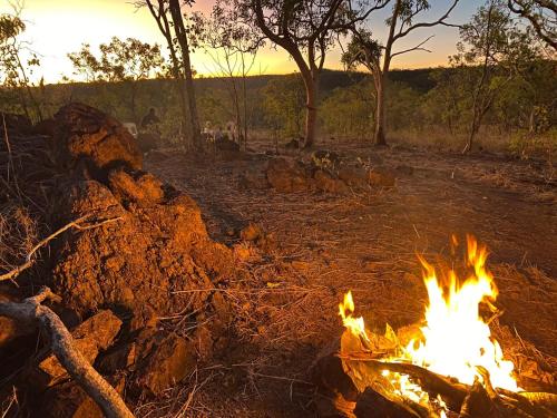 Imagen general del Gorge View Bush Retreat : Katherine NT. Foto 6