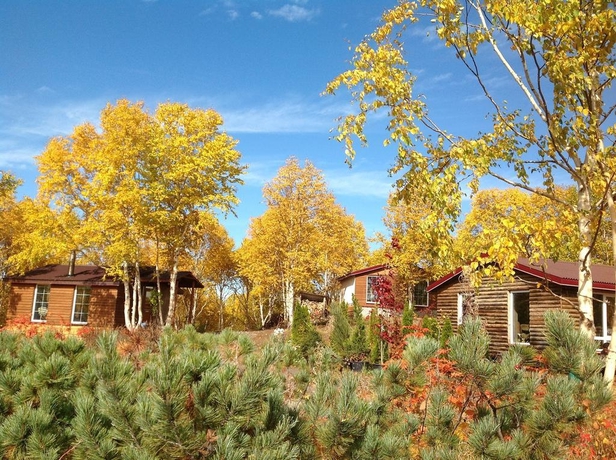 Imagen general del Gostevye Domiki Derevenka. Foto 3