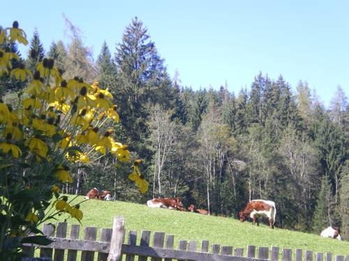 Imagen general del Göttfriedbauer. Foto 7