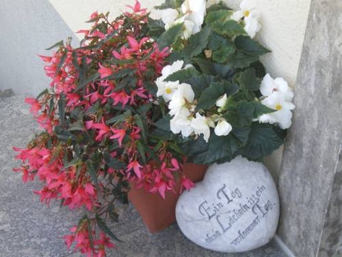 Imagen general del Göttfriedbauer. Foto 2